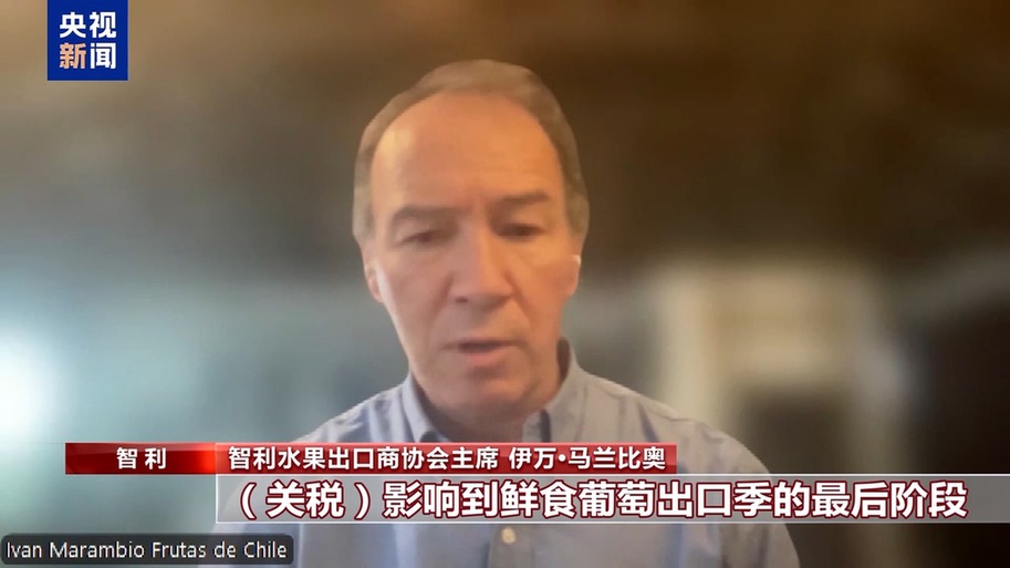 水果棘手的关税 智利水果产业“愁”不朽情