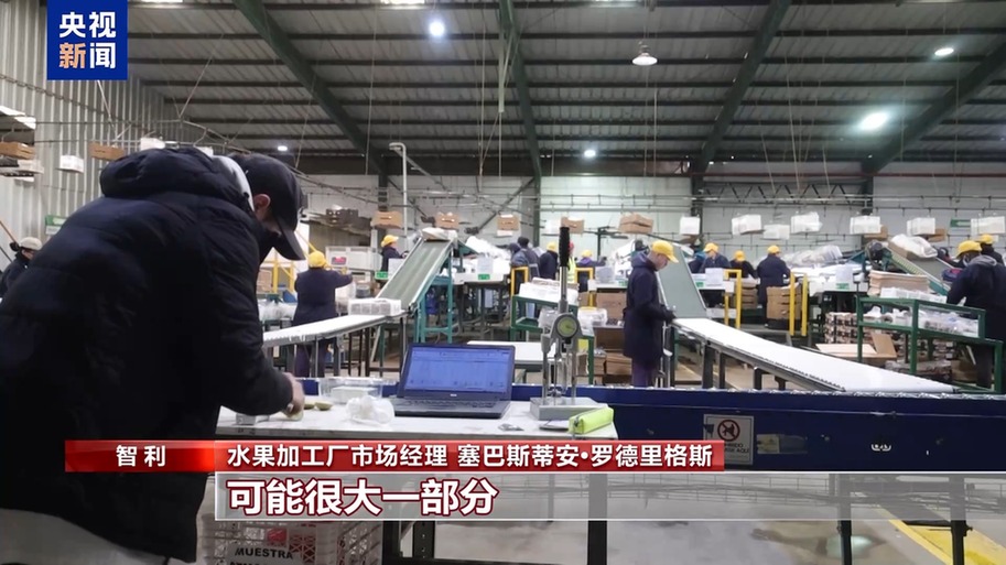 水果棘手的关税 智利水果产业“愁”不朽情缘app总台记者探访丨应季的(图2)