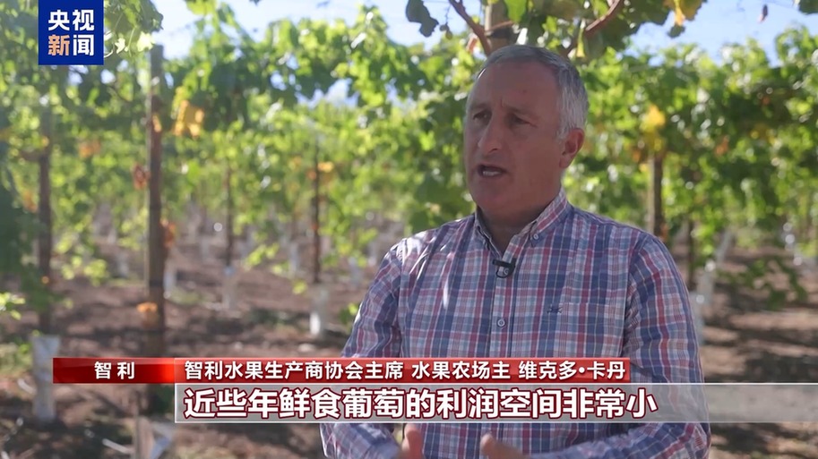 水果棘手的关税 智利水果产业“愁”不朽情缘app总台记者探访丨应季的(图3)